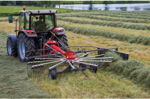 Massey Ferguson - RK 341